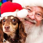 Paw-liday Pictures with Santa!